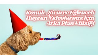 Komik , Şirin Ve Eğlenceli Hayvan Videolarınız İçin Arka Plan Müziği