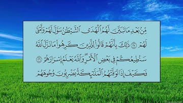 سورة محمد (الآية 20 ~ الآية 38) - ياسر بن راشد الدوسري