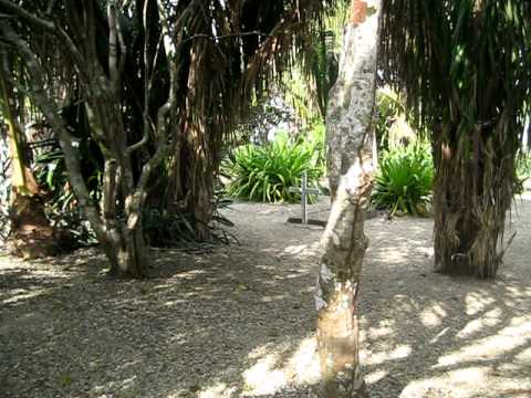 CABUYA ISLAND CEMETERY costa rica nicoya playa san...