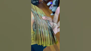 Australian Dollar Doller Rate Today Australia Youtubeshorts Youtube 