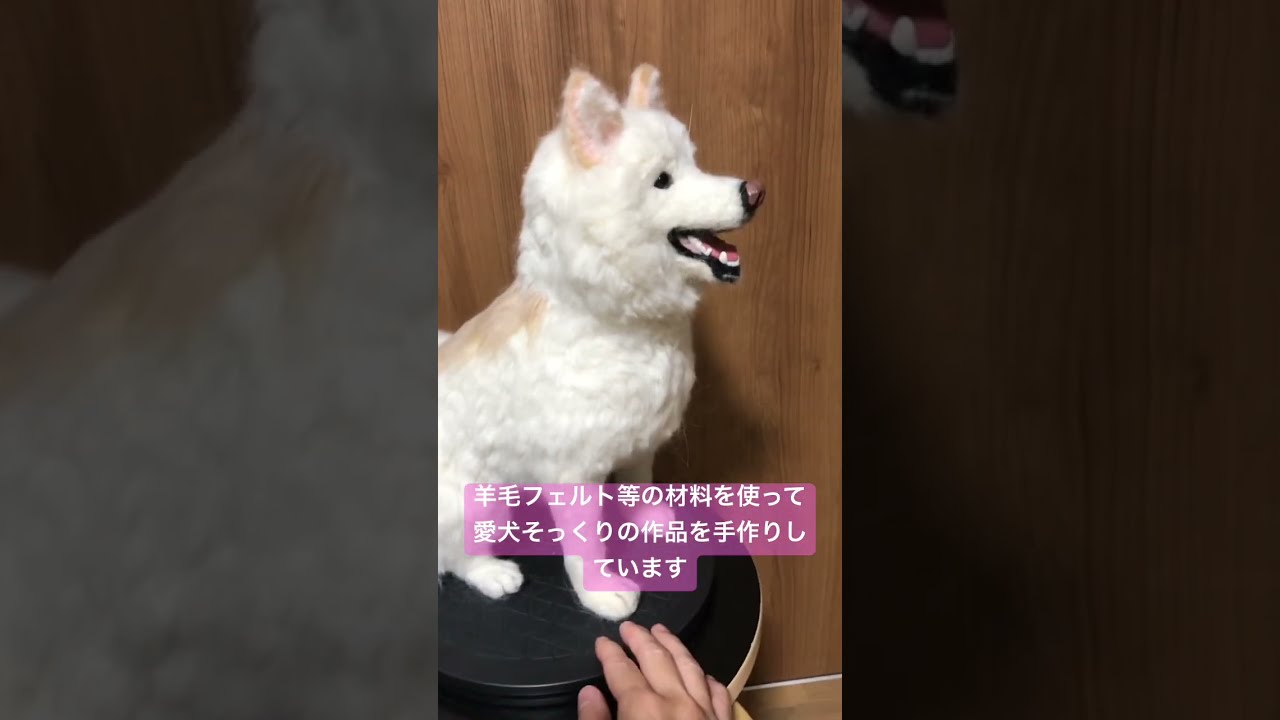 柴犬　白柴　羊毛フェルト　ハンドメイド　No.94 Yahoo!オークション - ikona 羊毛フェルト 白柴 柴犬 ハンドメイド