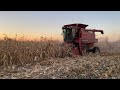 Red Combine spotted! Case IH 1660