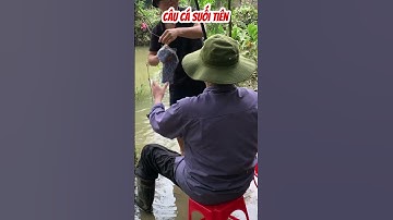 #shorts Câu Cá Suối Tiên #youtubeshorts #caucatv2 #cauca