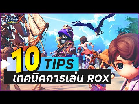 10 เทคนิคการเล่น ROX ให้ตัวละครเก่งและประหยัดเวลา | Ragnarok X Next Generation