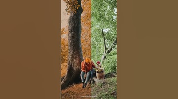 𝙈𝙤𝙤𝙙𝙮 𝙤𝙧𝙖𝙣𝙜𝙚 𝙘𝙤𝙡𝙤𝙧 𝙜𝙧𝙖𝙙𝙞𝙣𝙜 𝙩𝙪𝙩𝙤𝙧𝙞𝙖𝙡 𝙞𝙣 𝘾𝙖𝙥𝙘𝙪𝙩 | Capcut color grading 🔥 #ytshorts #shortsfeed