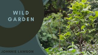 Forest Birdsong Nature Sounds - Wild Garden - 8 Hour Birdsong Version - Studying Series Ep.2