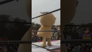 ring!Chiitan funny video 😂😂😂 #shrots