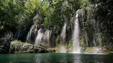 سورة الكهف بصوت الشيخ محمد سايد برواية ورش عن نافع Sourate Al-Kahf