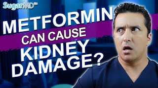 Metformin Damages Kidneys?