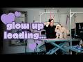 A playdate with Bailey, having a groom, and answering YOUR questions | Episode 3 | The Zola Diaries
