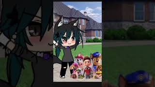 me as a 14 year old not wolf but thinks she is loves the paw patrol the movie! :3#pawpatrolthemovie