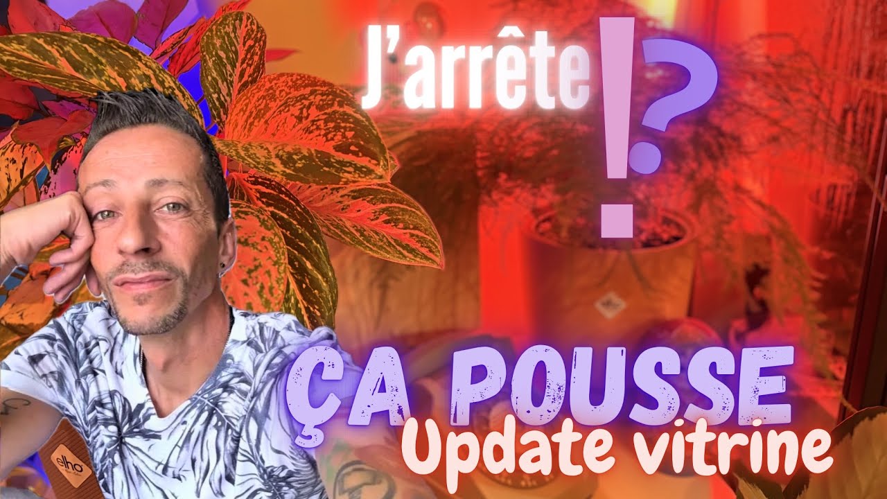 #69-Tour de la collections / Avenir de la Chaîne 😎