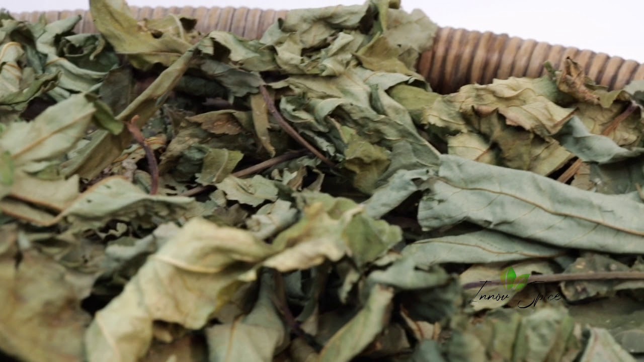 Blackberry leaf Dried blackberry leaves for tea or sweetner YouTube