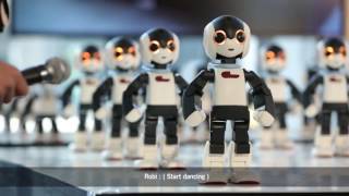 開発ロボット事例 | ヴイストン株式会社