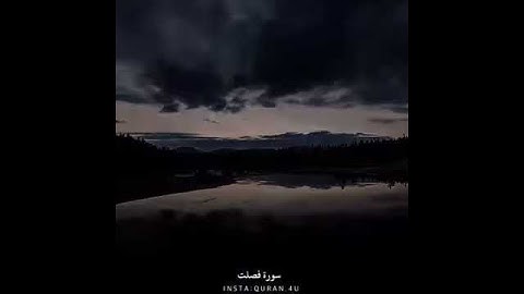 سورة فصلت ❤ أرح سمعك 💙