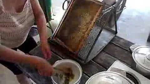 Jaký je průměrný Medný výnos na jedno včelstvo?