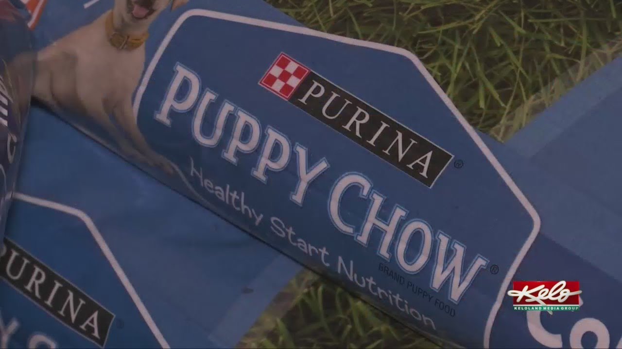 Humane society in need of pet food donations