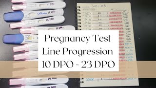 Pregnancy Test Line Progression | 10 DPO - 23 DPO | Baby #3 | Michelle Marie