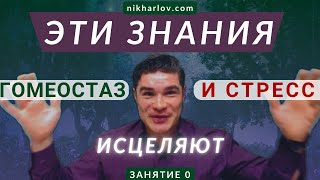 Как работает пищеварение человека. Вводные знания. Законы физиологии: стресс, гомеостаз, здоровье.