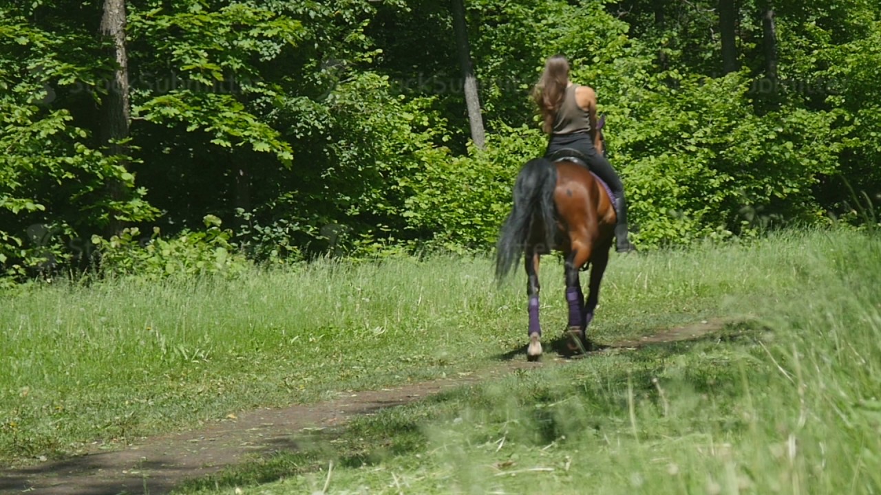 Girl riding a horse gallop in the forest Stock video footage YouTube