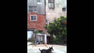 20130730_164226.mp4