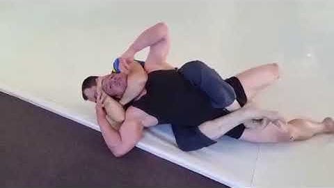 Did any top fighter accept the gracie challenge năm 2024
