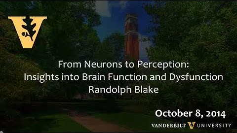 From Neurons to Perception: Insights into Brain Function and Dysfunction 10.8.2014