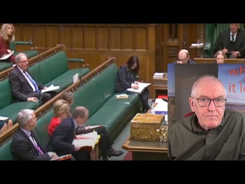 Excess deaths, parliament questions