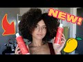 Oh Wow! This Line is Amazing!!! | SWIRLYCURLY Mango Moringa Moisture Max Review | Type 4 Natural