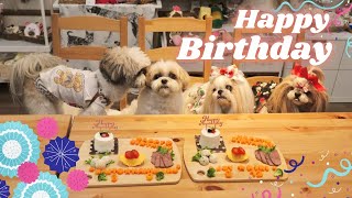 シーズー】5月・6月生まれのお友達とお誕生日会（Dog Cafe Lien