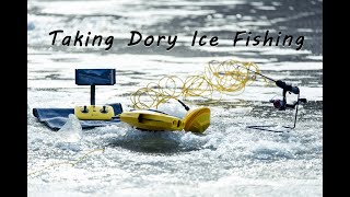 Chasing Dory First Impressions