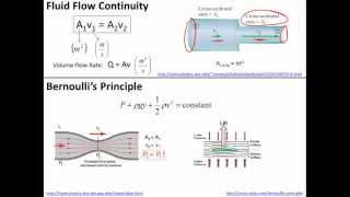 Fluid Flow Continuity