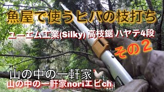 [山の中の一軒家]ユーエム工業(Silky) 高枝鋸 ハヤテ4段  魚屋で使うヒバの枝打ち その２