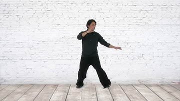 Taiji Exercise Drills: Grasping the Bird