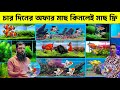 Aquarium Fish Price In Bangladesh 2026🐠Aquarium Fish Price | Aquarium | Aquarium Fish Price In BD🐠