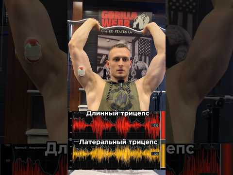 За персональным планом питания/тренировок обращаться в telegram-TrainerSmirnovv