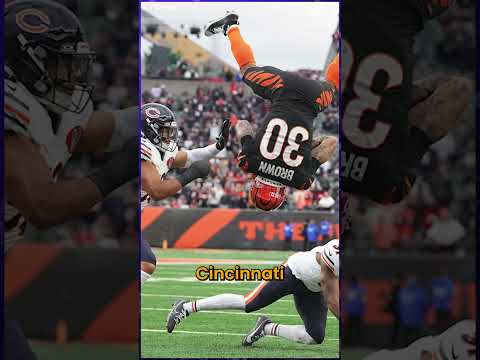 How REAL are the Bears?