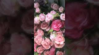 سوره يوسف || بصوت القارئه شهد غازي || Shahd Ghazi