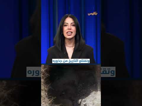 نهب الآثار اليمنية: عصابات مسلحة وقيادات حوثية متورطة