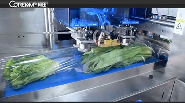 Servo-motor VT-330X vegetable packaging machine