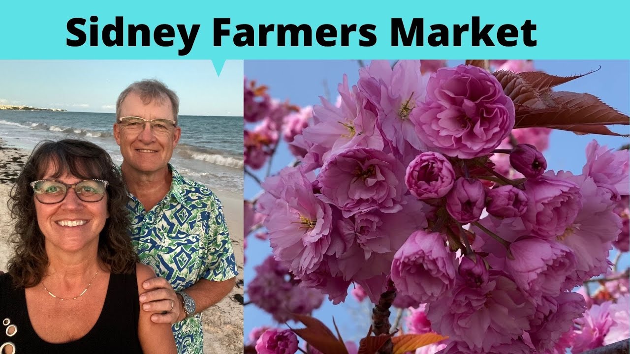 Sidney Farmers Market by Darty Adventures YouTube