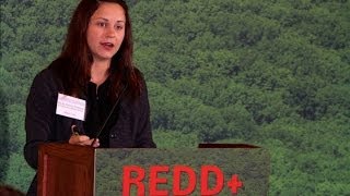 REDD+ Talks - Molly Peters-Stanley, Ecosystem Marketplace