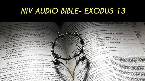 EXODUS 13 NIV AUDIO BIBLE (with text)
