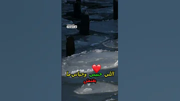 شاهد باقي القصه هنا هل أطلب الطلاق قرار مصيري 