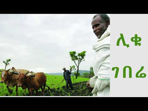 ገበሬ The Wise Framer Of Etiopia