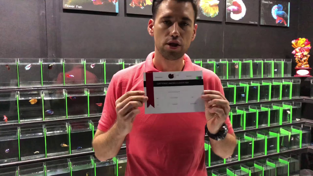 Quality Certificate 👌🏻