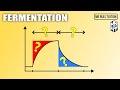 Fermentation and Its Types