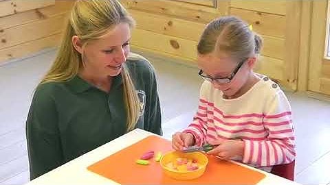 Easi-Grip Scissors from Peta