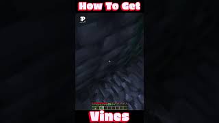 Minecraft: How to Get Vines #shorts