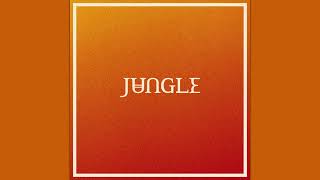 Jungle - Pretty Little Thing (feat. Bas)